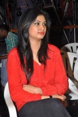 Bhai Triple Platinum Disc Function